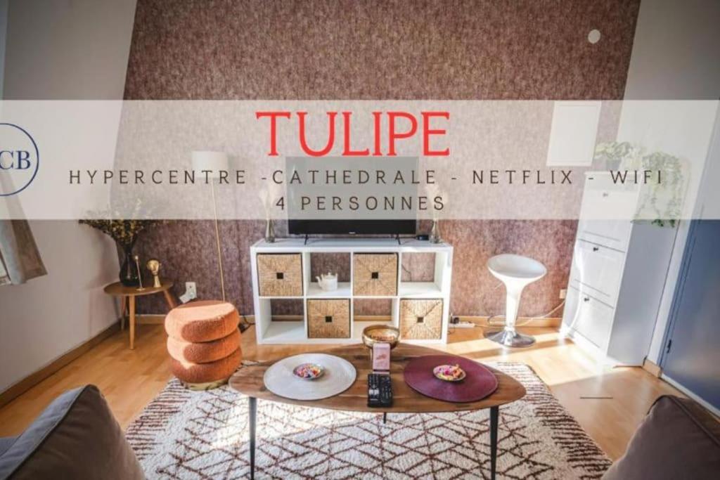 Appartement Tulipe Hypercentre Fantastique à Reims Extérieur photo